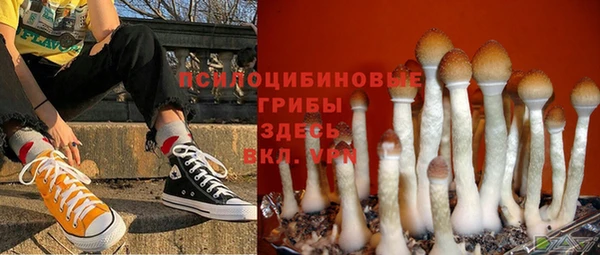 бошки Баксан