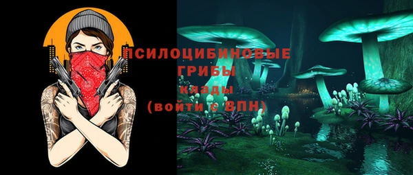 мяу мяу мука Белокуриха