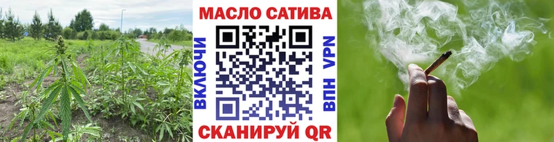 mega ссылка  цена   Шагонар  Дистиллят ТГК THC oil 